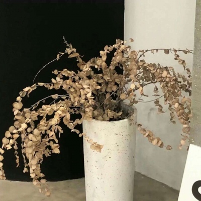 兽设雨夜场景创作兽圈社群